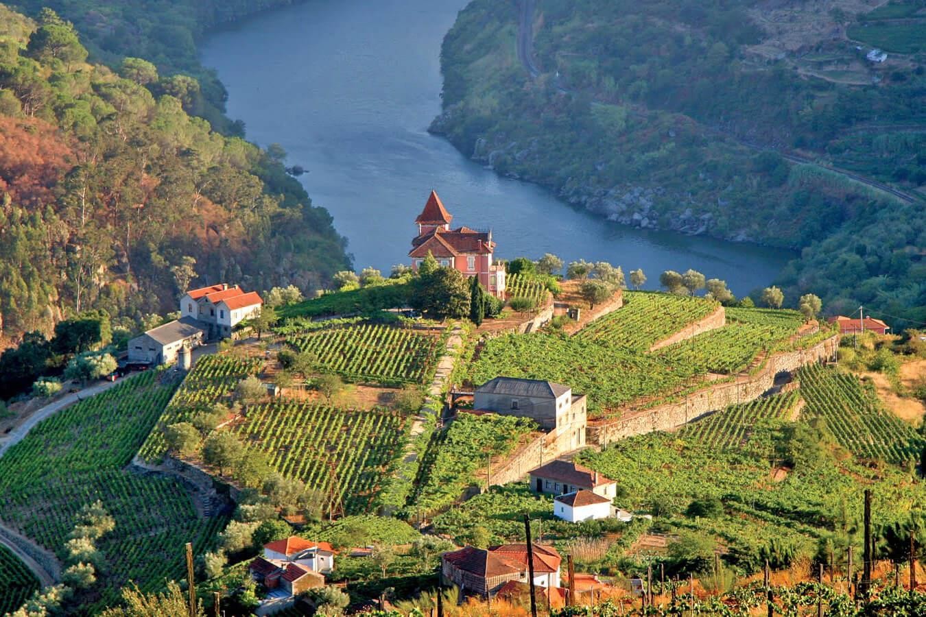 Thung lũng Douro của Bồ Đào Nha - điểm đến lý tưởng khi du lịch Châu Âu