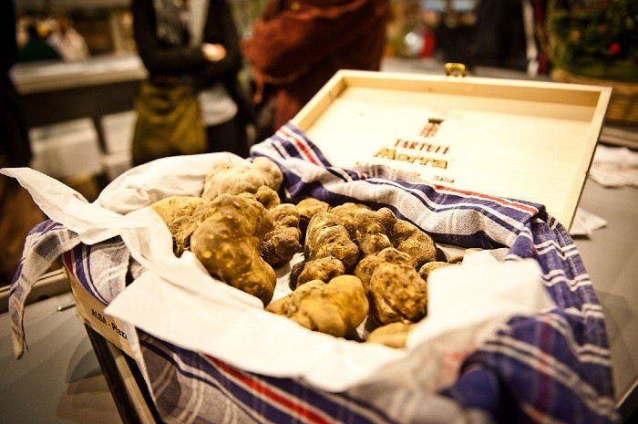 le-hoi-nam-truffle-trang-o-alba-y-premier-tour.jpg