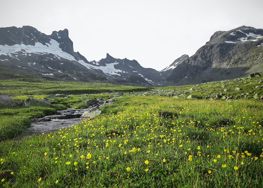 vuon-quoc-gia-jotunheimen-co-dien-tich-len-den-3500-km2-1704246937.png