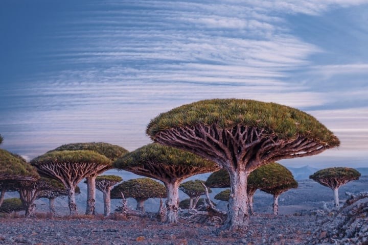 thoi-tiet-va-khi-hau-o-socotra-1710856234.jpg