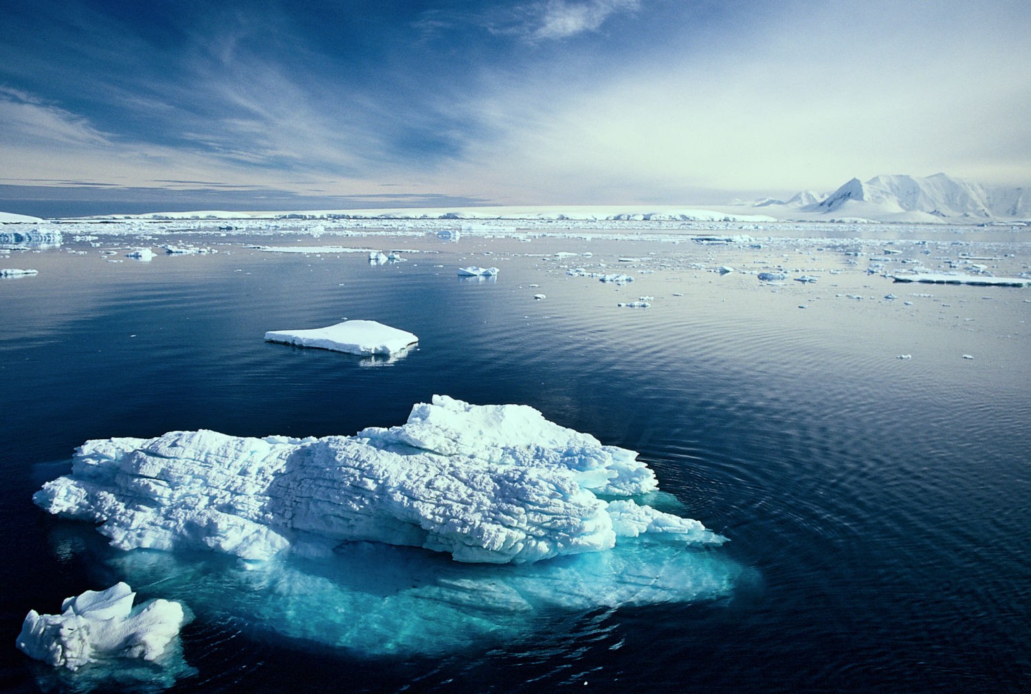 antarctic-waters.jpg