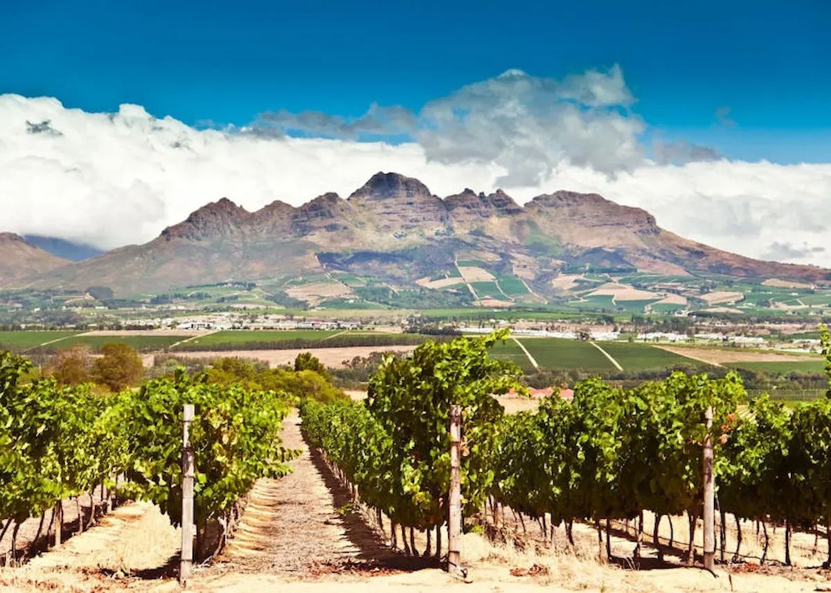 Làng Stellenbosch 