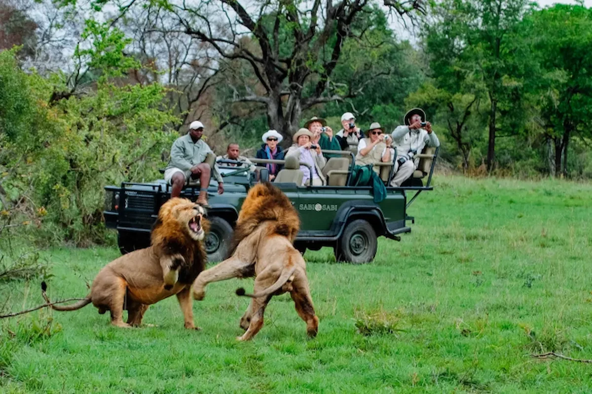 Khu Bảo tồn động vật Hoang dã Kruger