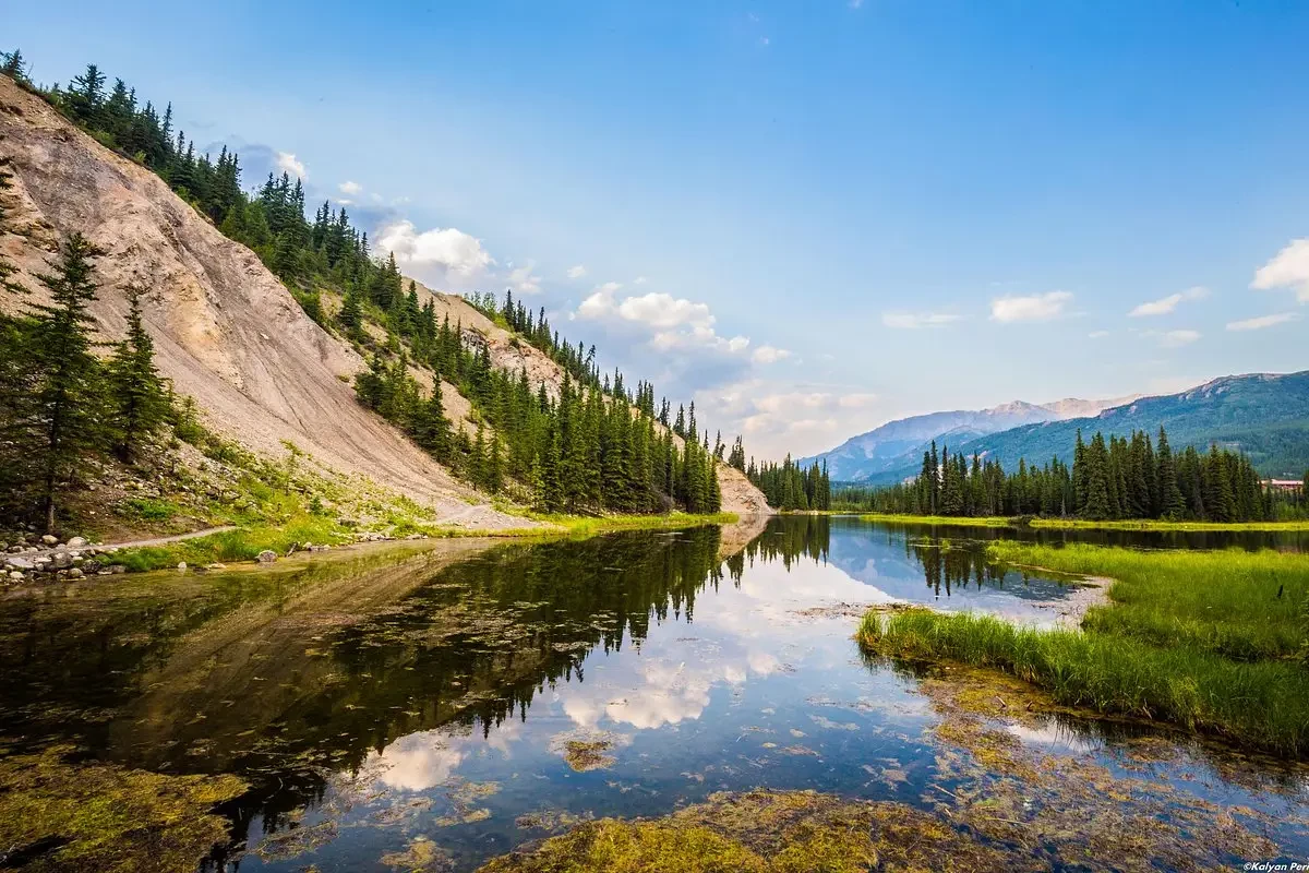 Công viên quốc gia Denali (Denali National Park)