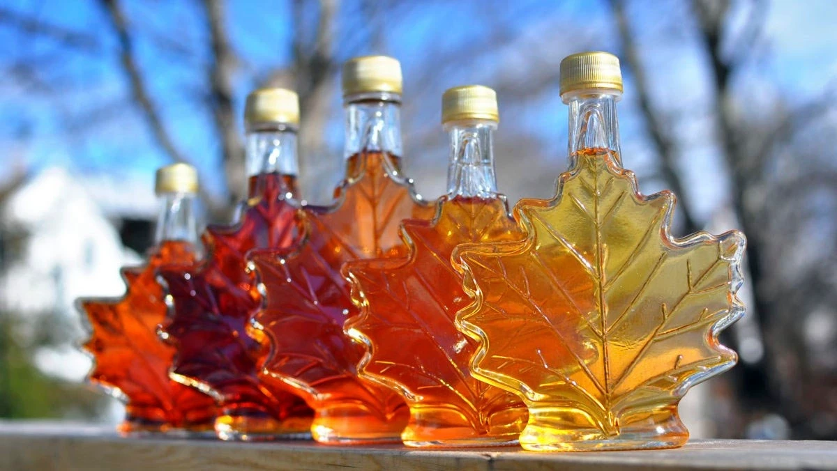 Maple Syrup