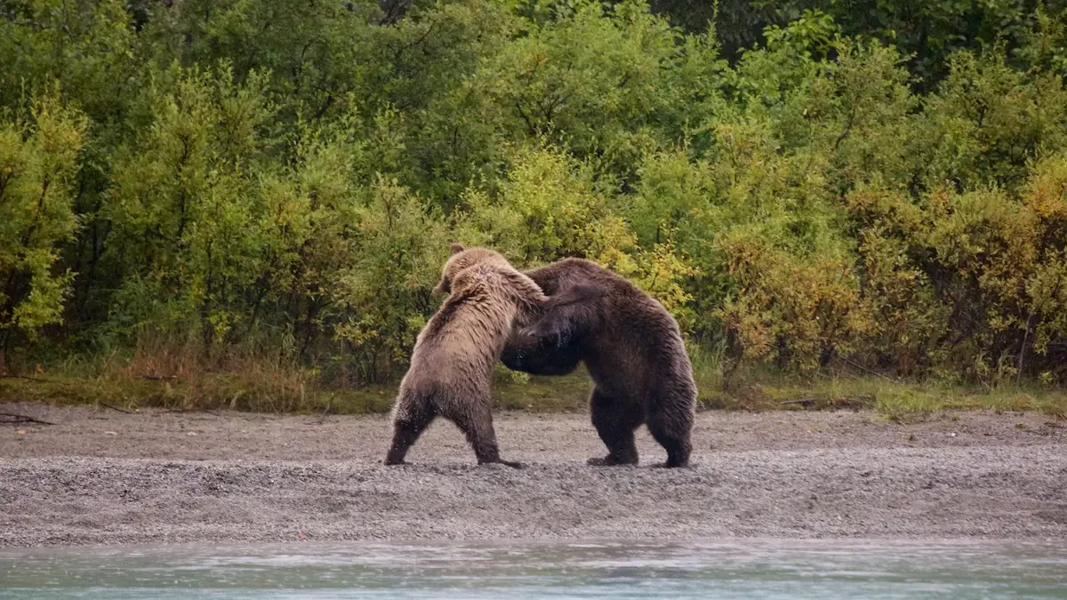 Vườn quốc gia và khu bảo tồn Kenai Fjords