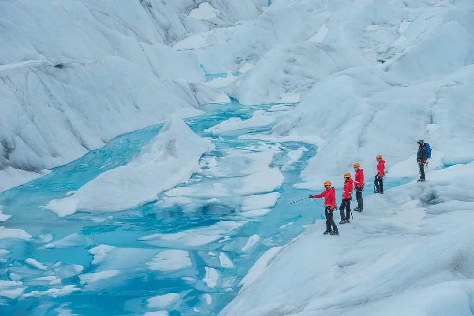 Premier Tour chuyên tour du lịch đến Alaska 