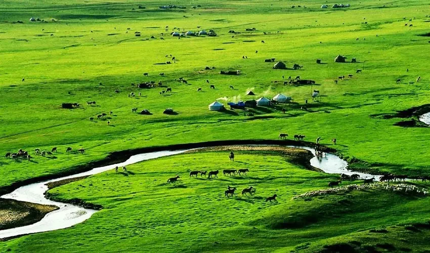 Mùa hè tại mông cổ thích hợp trài nghiệm khám phá ngoài trời