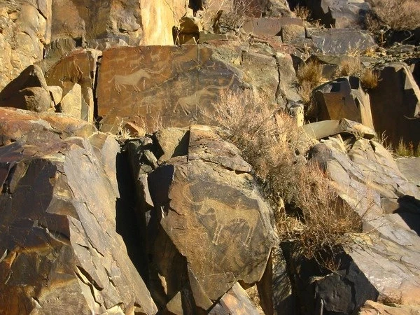 image-93-1747388180.webp