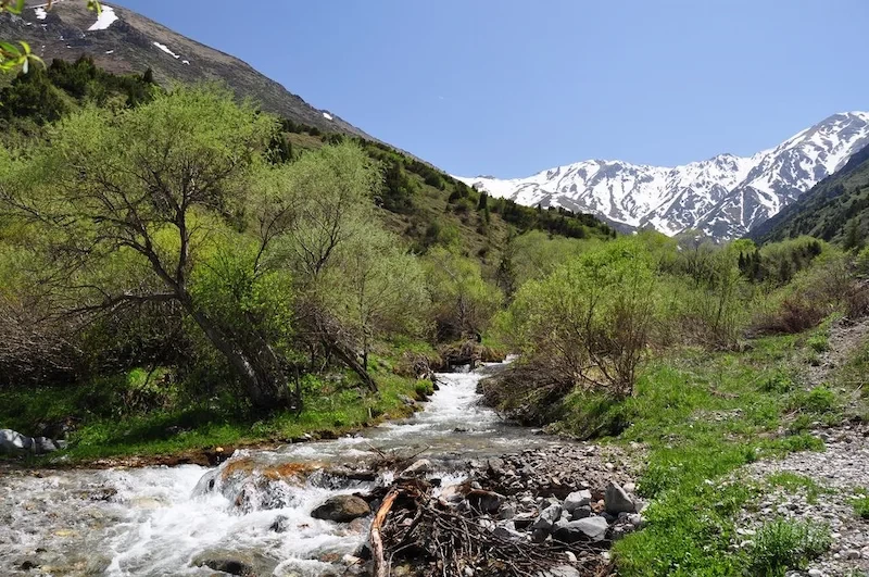 image-19-1749094251.webp