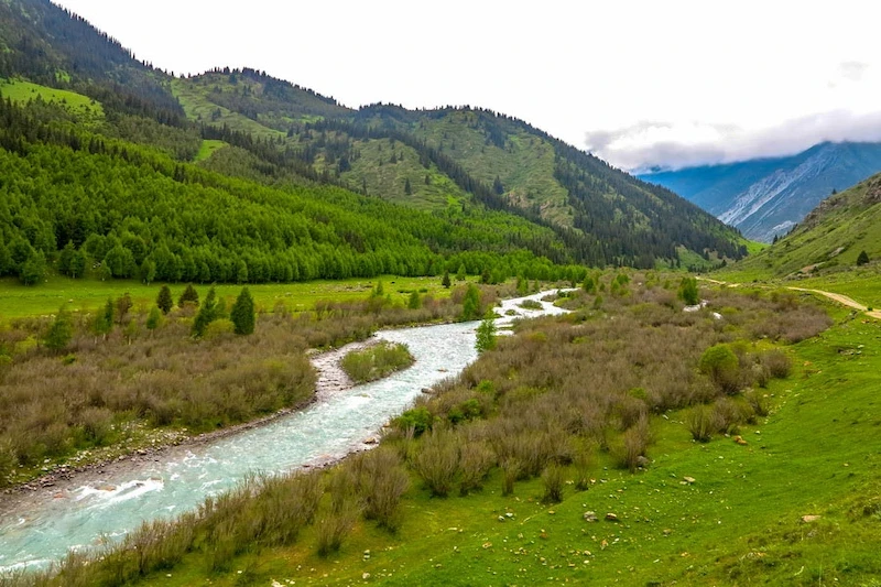 image-42-1749231237.webp