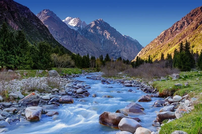 image-43-1749231390.webp
