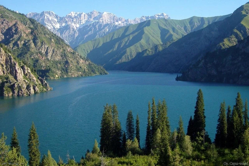 image-51-1749262318.webp