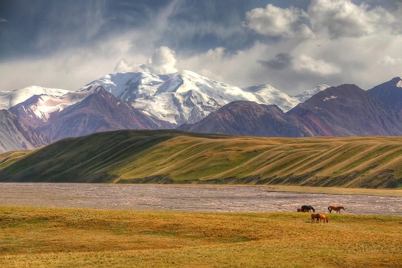 Thung lũng Alay là một trong những đồng cỏ mùa hè, hay "jailoo", quan trọng nhất của Kyrgyzstan.