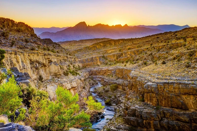 image-54-1751535465.webp