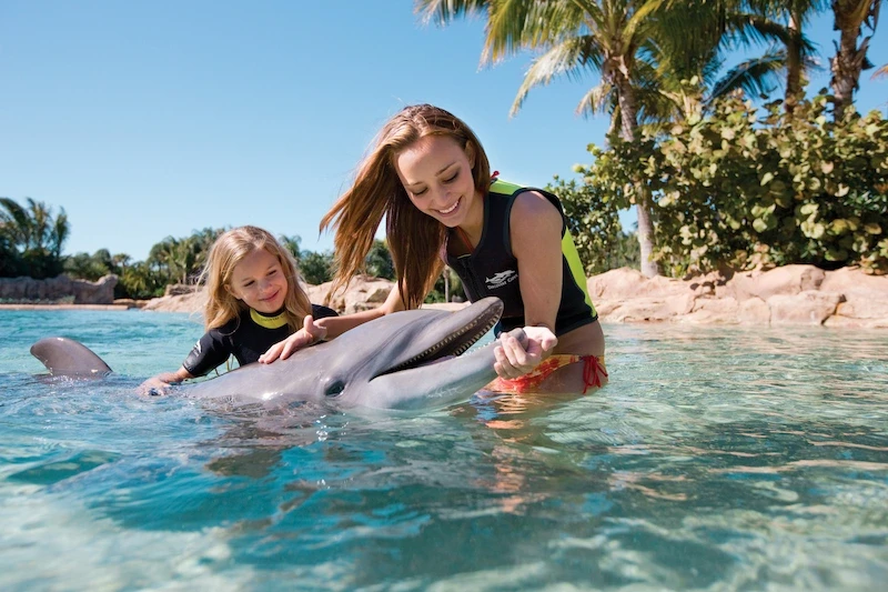 image-59-1753353769.webp