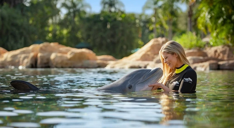 image-60-1753353769.webp