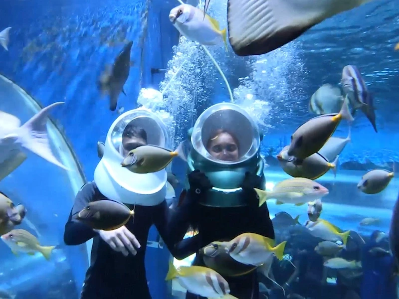 image-63-1753354045.webp
