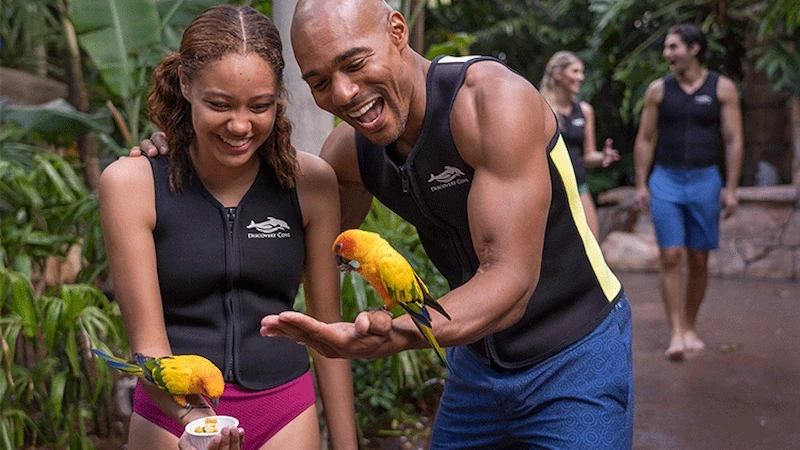 image-68-1753408292.webp