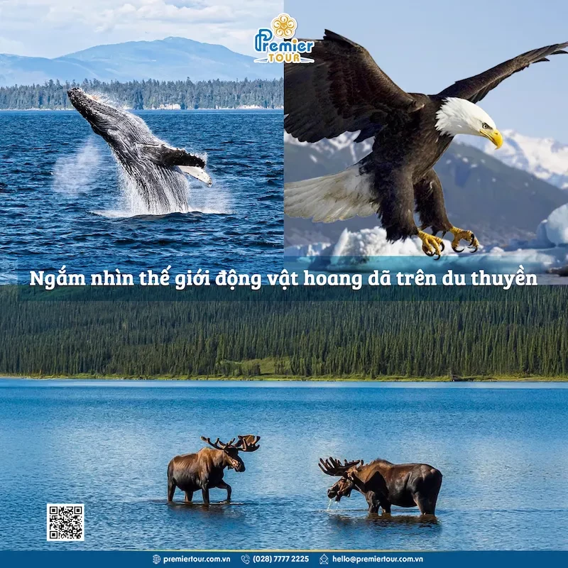 alaska-1-1753671221.webp