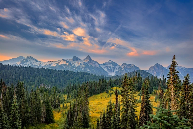 image-42-1754274446.webp