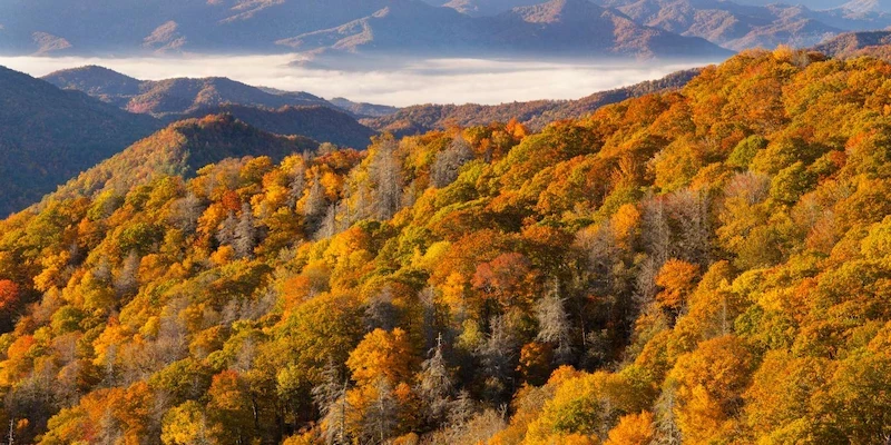 image-17-1754455032.webp