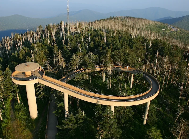 image-19-1754455896.webp