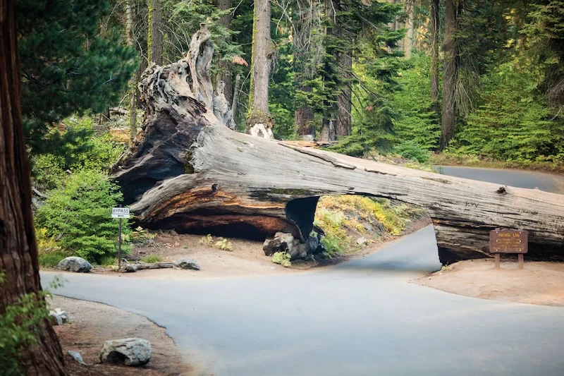 image-43-1754539131.webp
