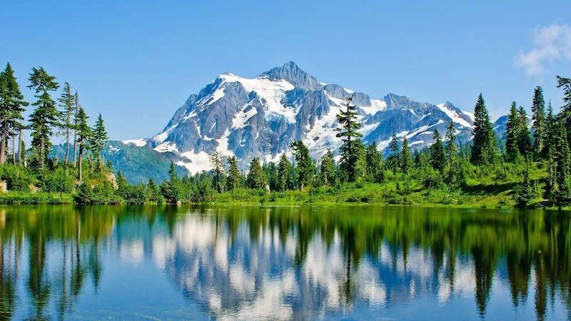 image-48-1754540766.webp