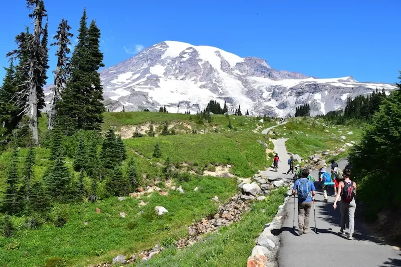 image-51-1754541428.webp
