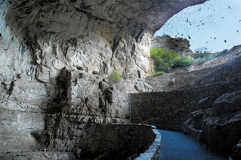 image-56-1754542664.webp