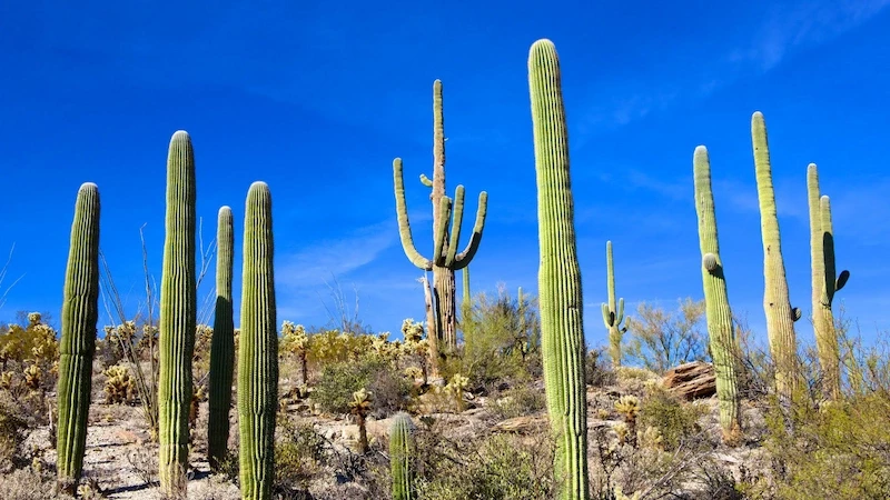 image-57-1754542920.webp