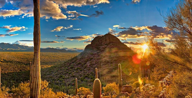 image-58-1754543007.webp