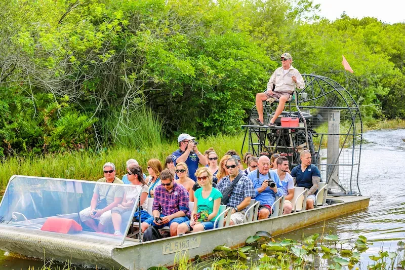 vuon-goc-gia-everglades-3-1754531591.webp