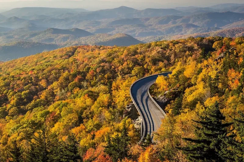 image-54-1756363592.webp