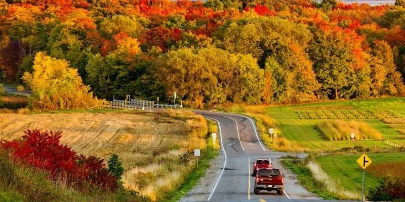 Mùa thu (Tháng 9 - Tháng 10) tại Canada