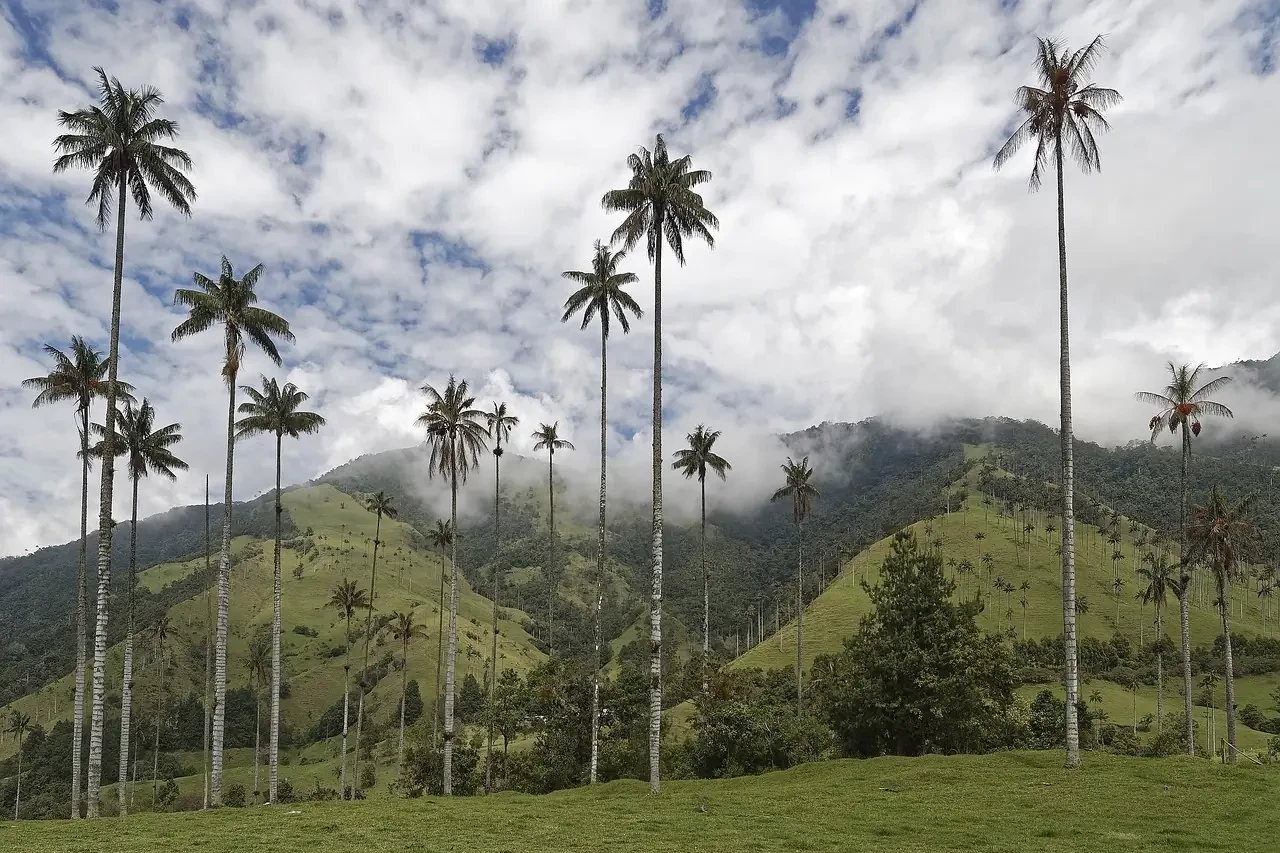 Thung lũng Cocora