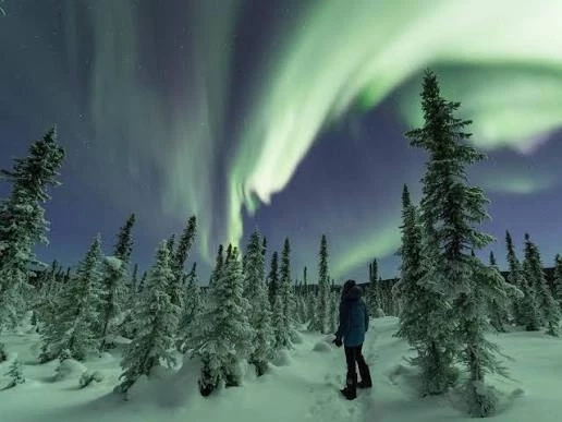 image-15-1787212340.webp