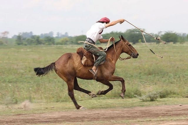 Người gaucho sử dụng vũ khí boleaoras