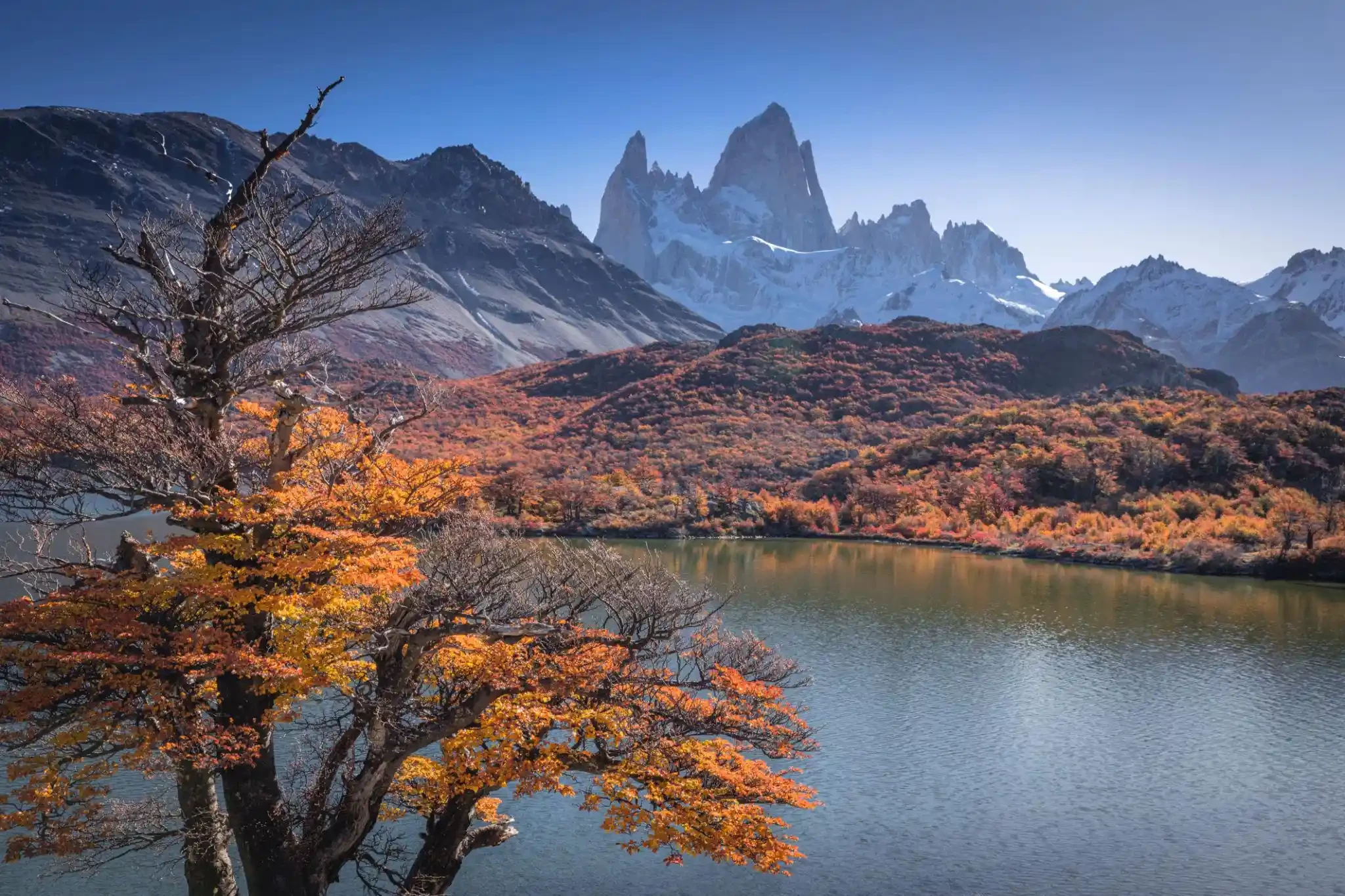 Mùa thu tại El Chaltén