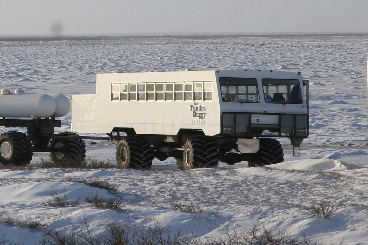 Thời điểm lý tưởng để trải nghiệm Tundra Buggy tại Churchill
