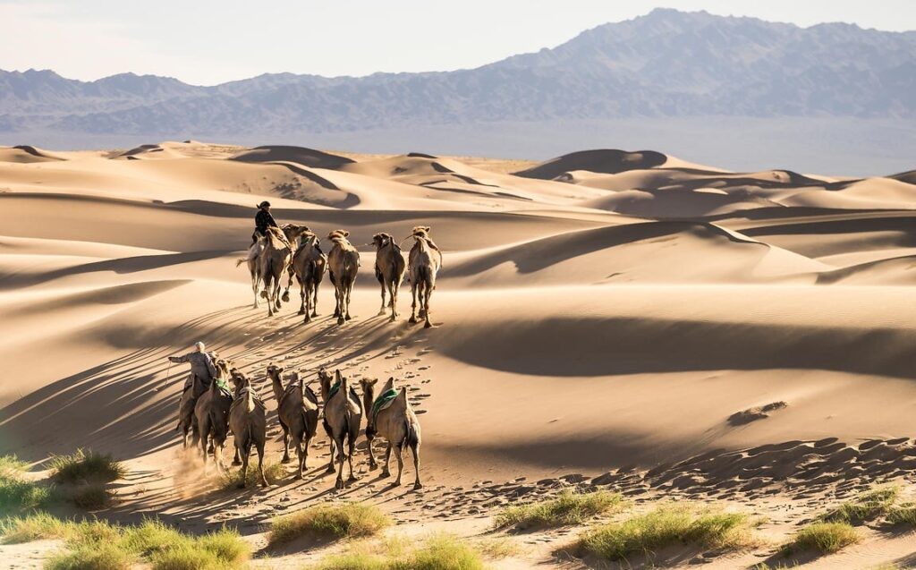 Tổng quan về cồn cát Khongoryn Els tại sa mạc Gobi.