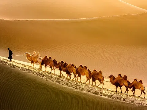 Trải Nghiệm Road Trip Sa Mạc Gobi Chi Tiết Nhất
