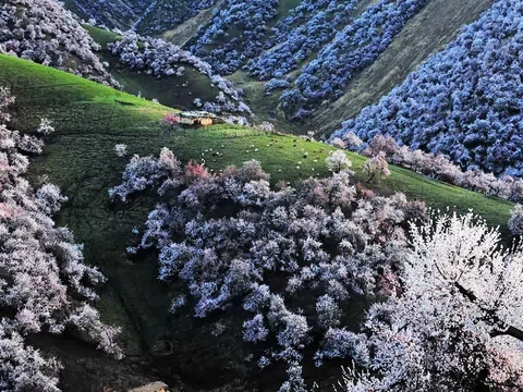 Du Lịch Tân Cương Trung Quốc tháng 6: Thời Tiết, Lễ Hội, Địa Điểm Hấp Dẫn