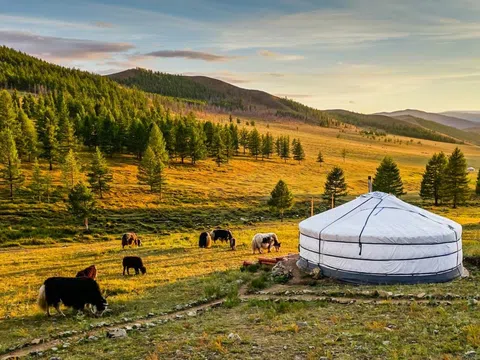 Thời Điểm Đi Road Trip Mông Cổ Đẹp Nhất Trong Năm Là Khi Nào?