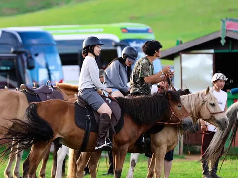 Nên Đi Tour Road Trip Mỹ Theo Tour Hay Đi Tự Túc?