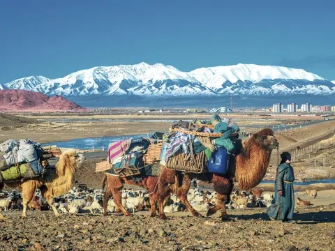 Bí Quyết Chuẩn Bị Trang Phục Cho Road Trip Mông Cổ Theo Mùa (Từ A-Z)