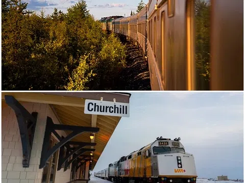 Chi phí du lịch Churchill Canada: Bảng dự trù ngân sách chi tiết nhất