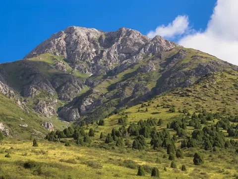 Khu bảo tồn Thiên nhiên Aksu-Zhabagly: Khu Bảo Tồn Đẹp Nhất Kazakhstan