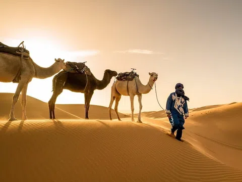 Sa mạc Wahiba Sands: Cồn cát khổng lồ tại Oman